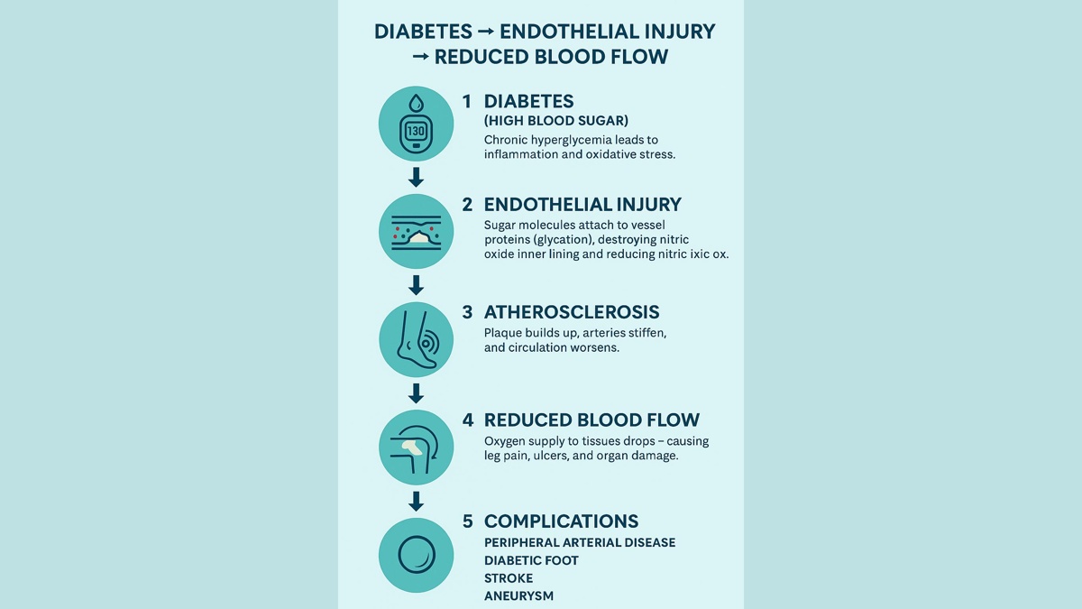 Diabetes Infographic