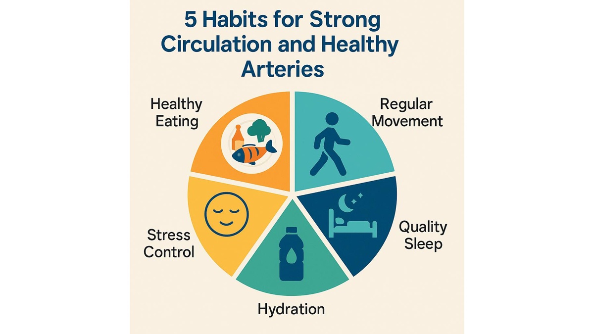 Healthy arteries and vascular wellness — maintaining blood flow and heart health